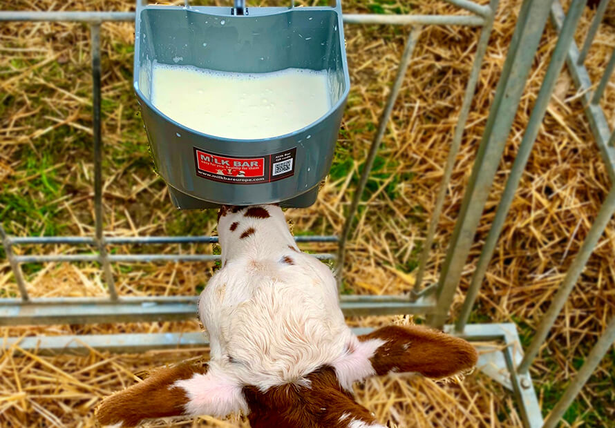 Calf Feeders